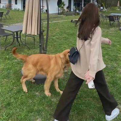 青纱红泪